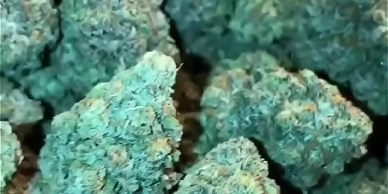 christmas nuggets of inspiration to get you high and horny